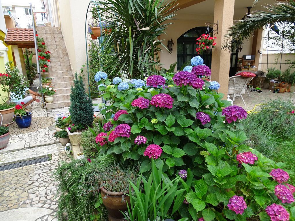 Apartament - Lisa Budva Exterior foto